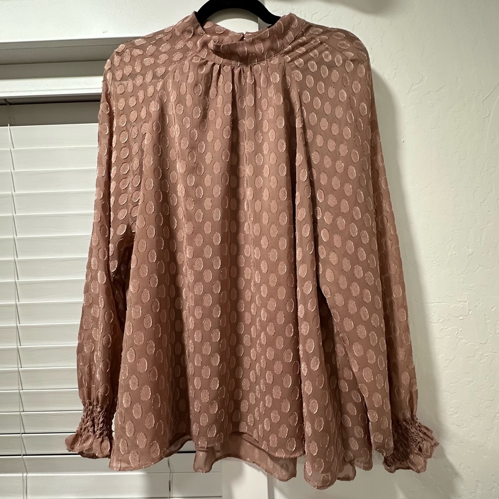 Long Sleeve Swiss Dot Blouse by Daniel Rainn
